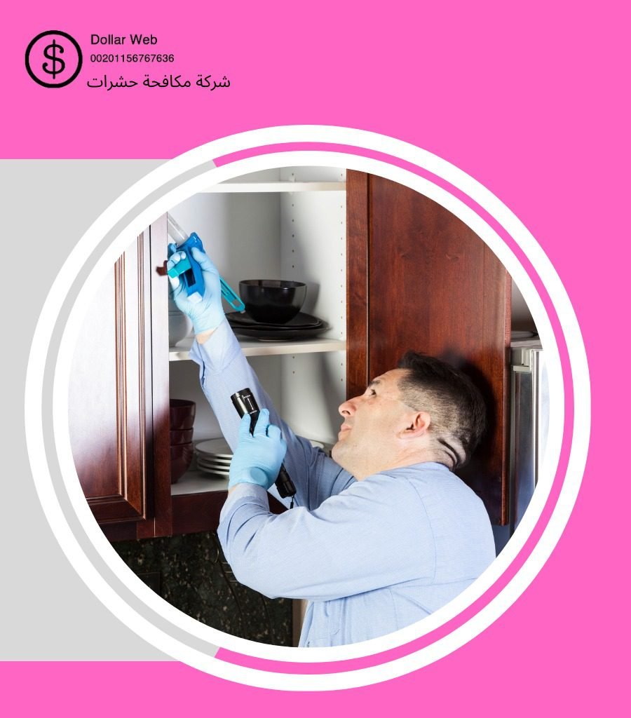 مكافحة الحشرات حي الجامعة