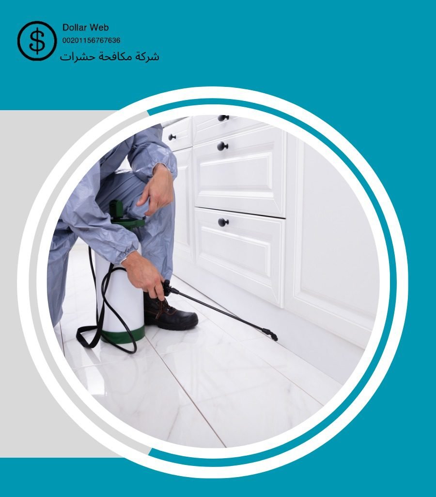 مكافحة حشرات حي السلامة