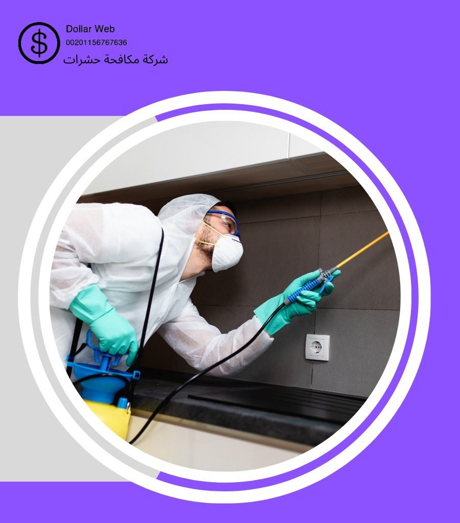 مكافحة حشرات الروابي بجدة
