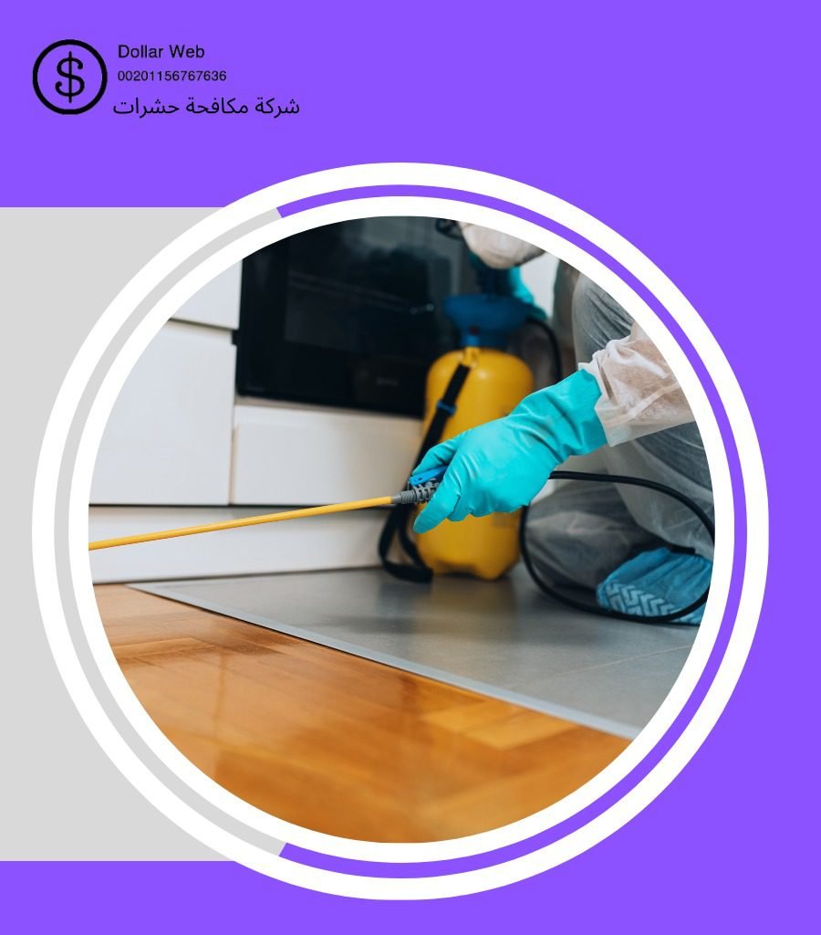 مكافحة حشرات المحجر بجدة