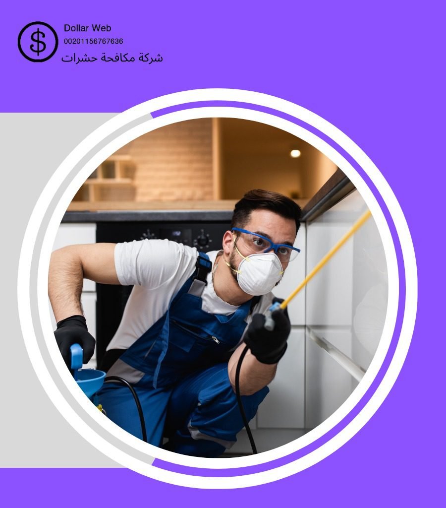 مكافحة حشرات الجامعة جدة
