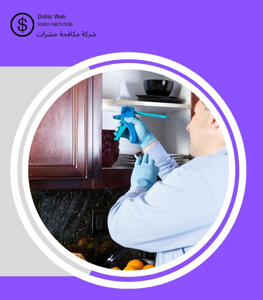 مكافحة حشرات حى النسيم بجدة