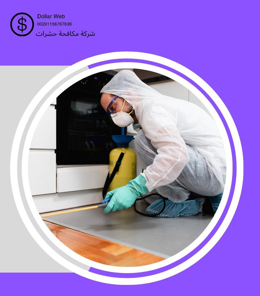 شركه مكافحه الحشرات بجده