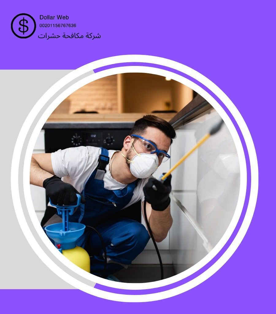 شركة رش الحشرات بجدة