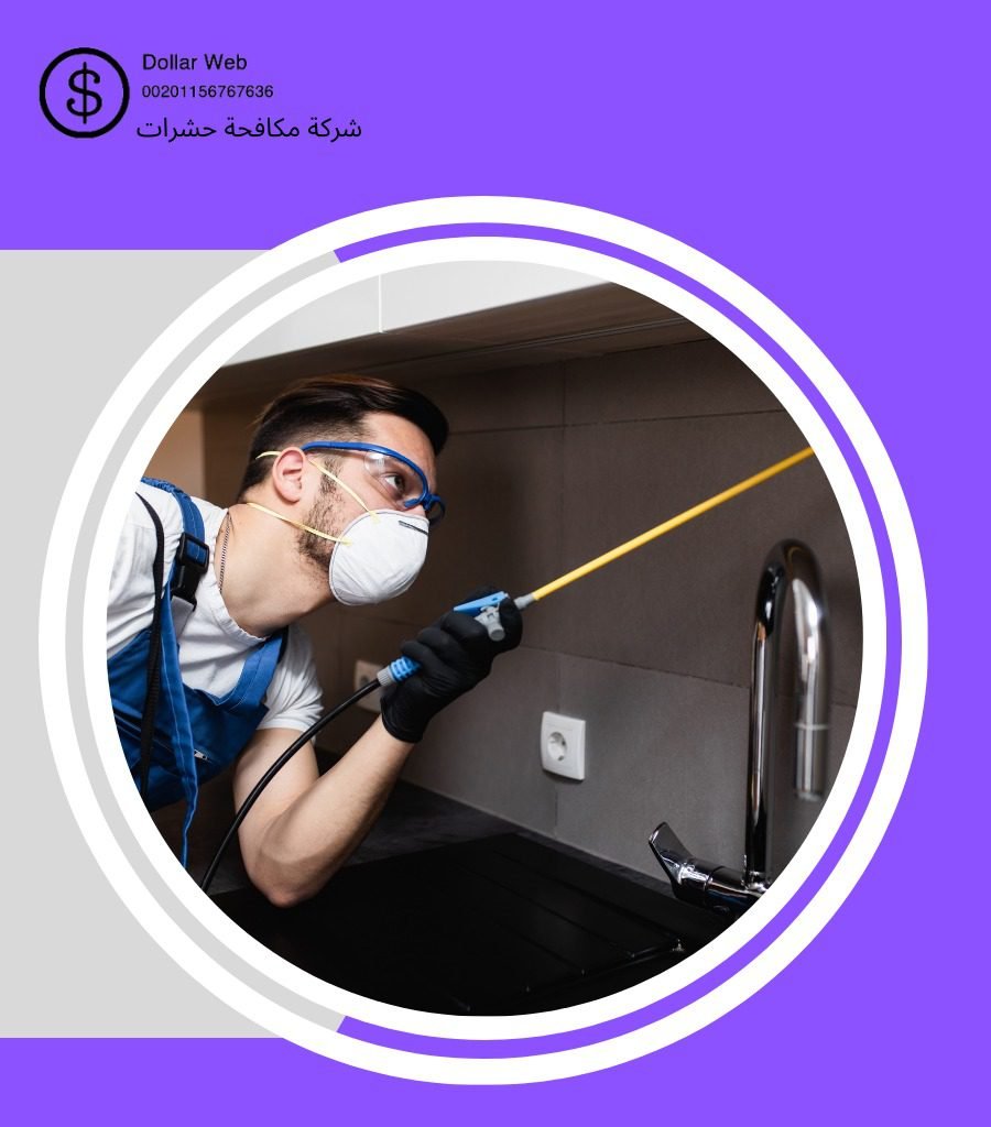شركة مكافحة حشرات حي مشرفة