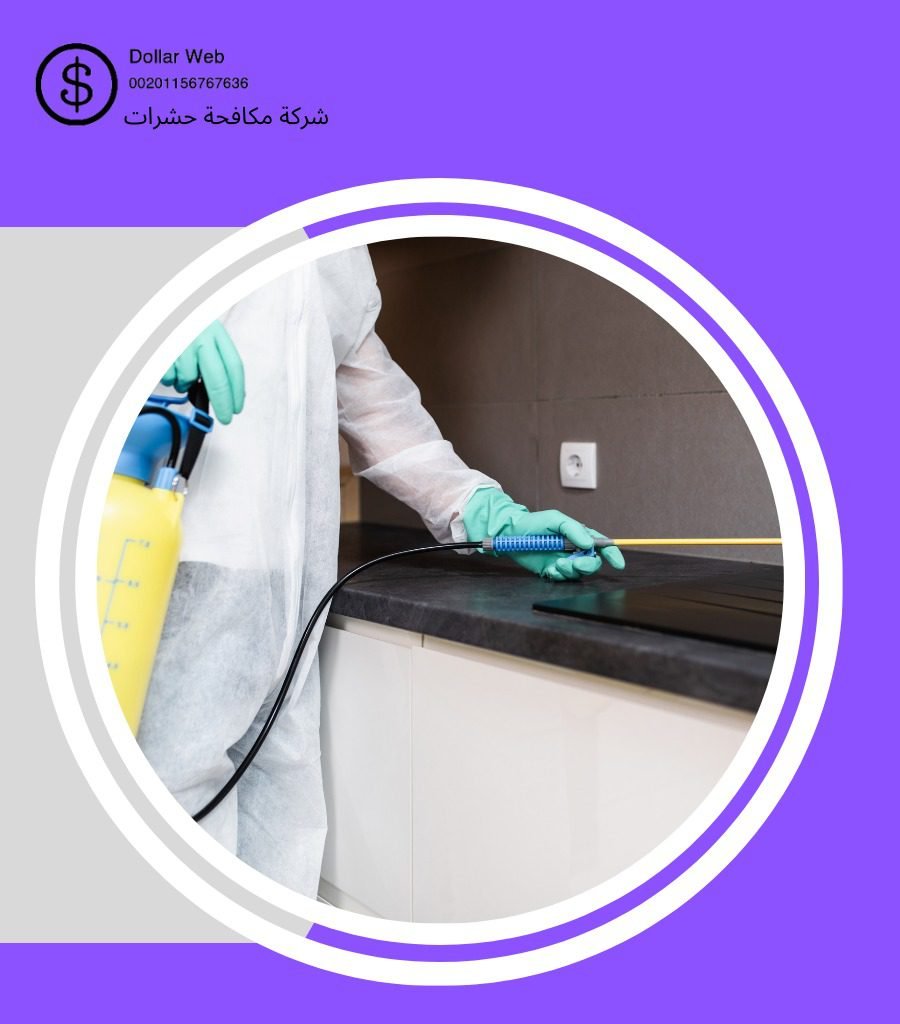 شركه مكافحه الحشرات الحرازات بجدة