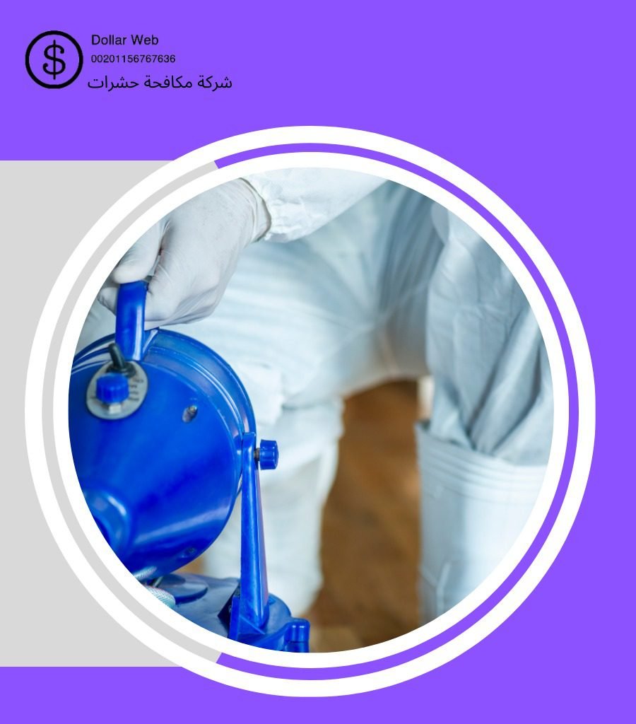 شركة رش الحشرات بنى مالك