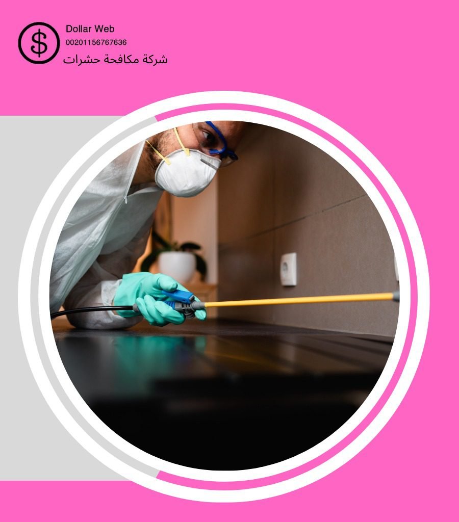 شركة ابادة حشرات جدة