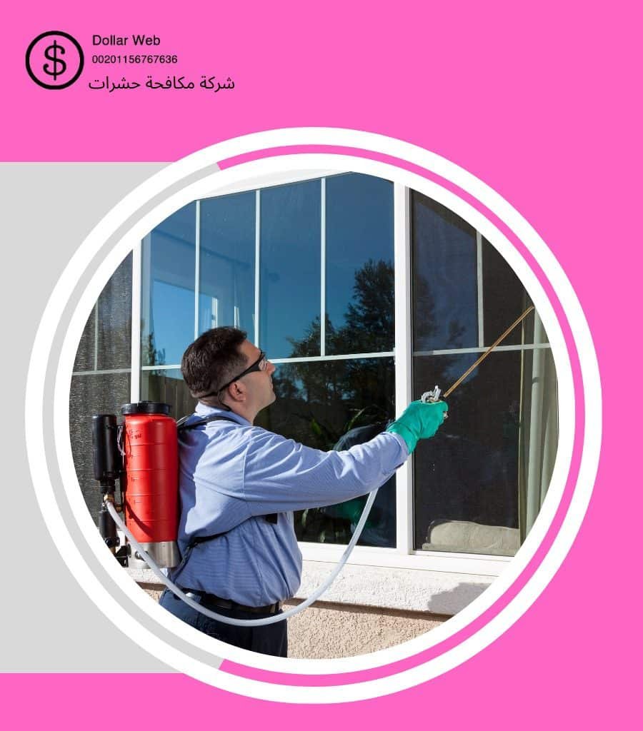 مكافحة حشرات الجامعة بجدة