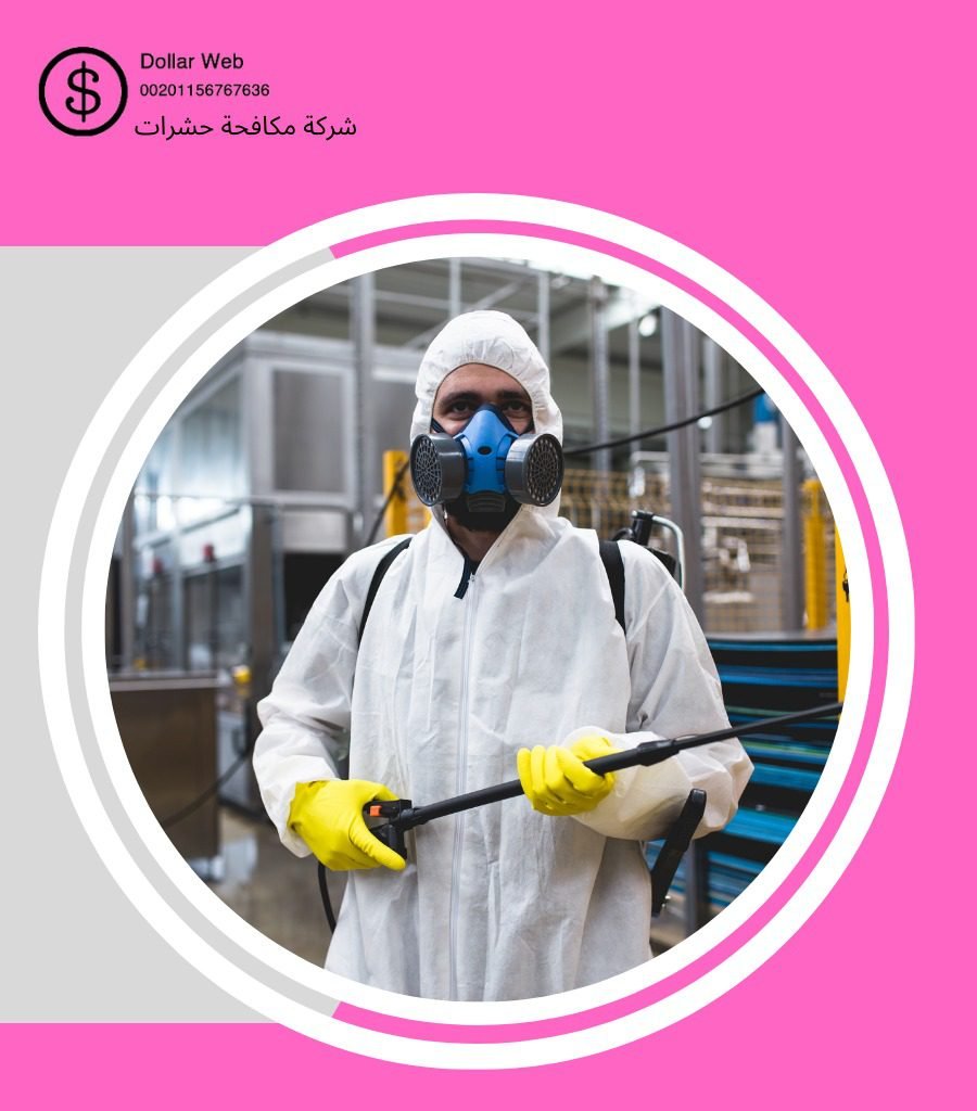 مكافحة حشرات الكندره جدة