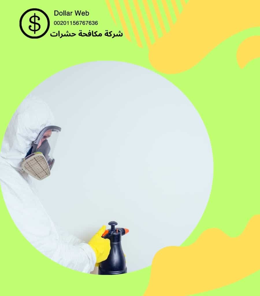 مكافحة البق فى جدة