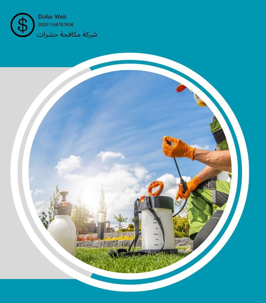 مكافحة بق الفراش جدة