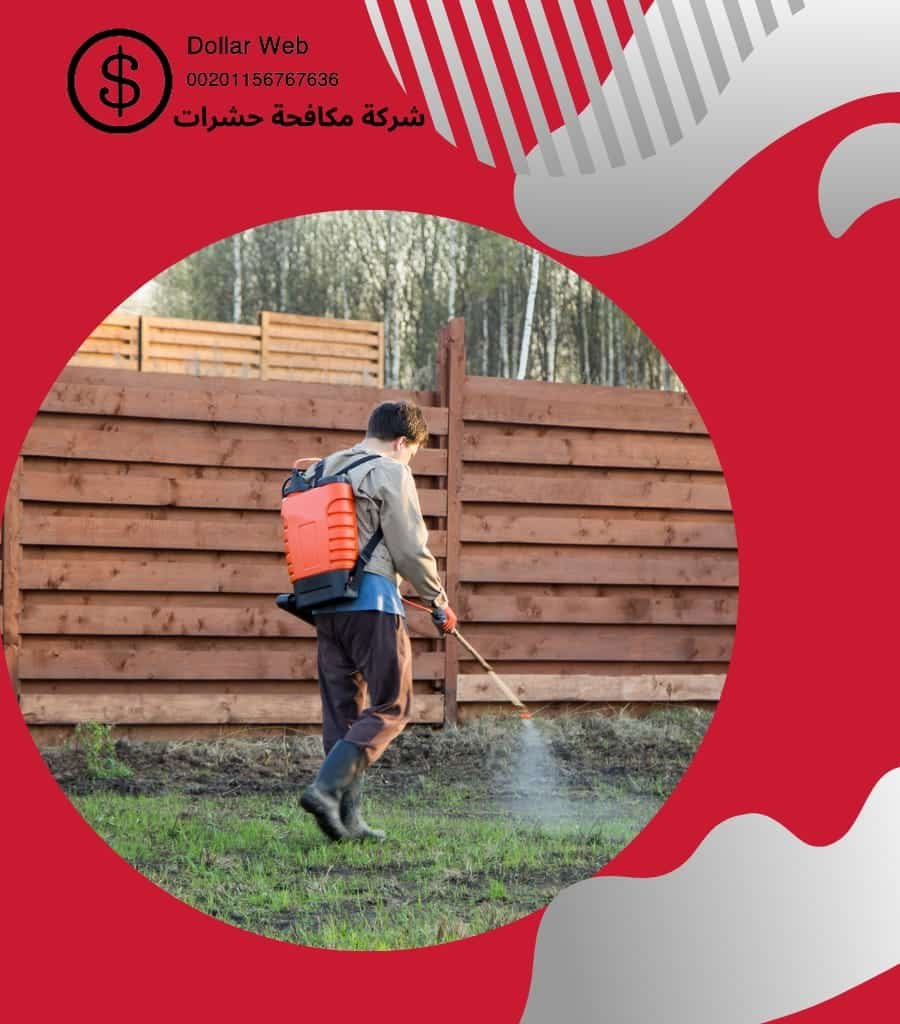 مكافحة حشرات النخيل بجدة