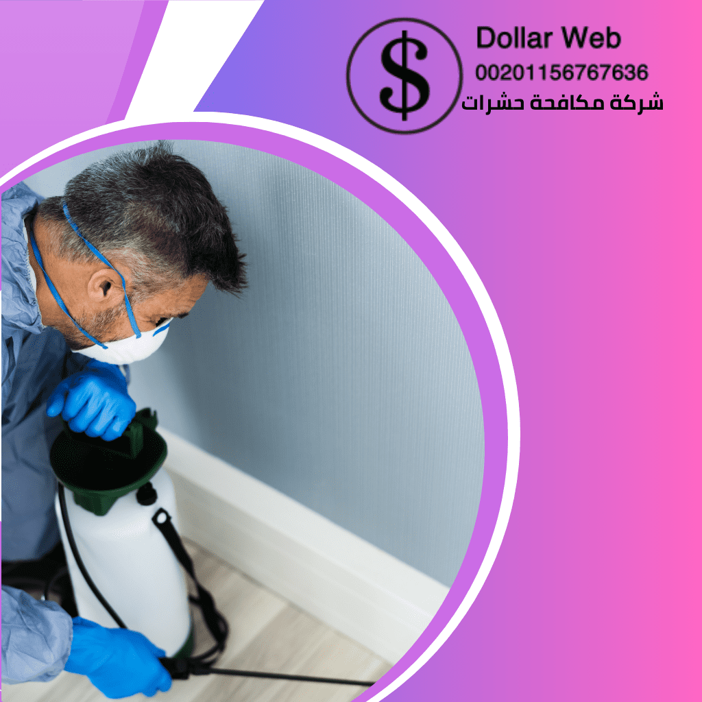 شركة مكافحة النمل الابيض بجدة