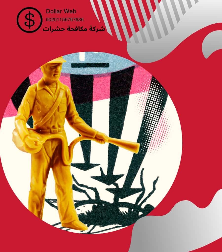 مكافحة حشرات حي أبحر بجده