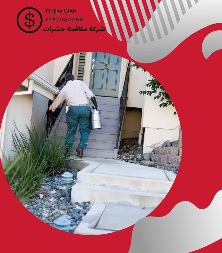 مكافحة حشرات حي الكندره بجدة