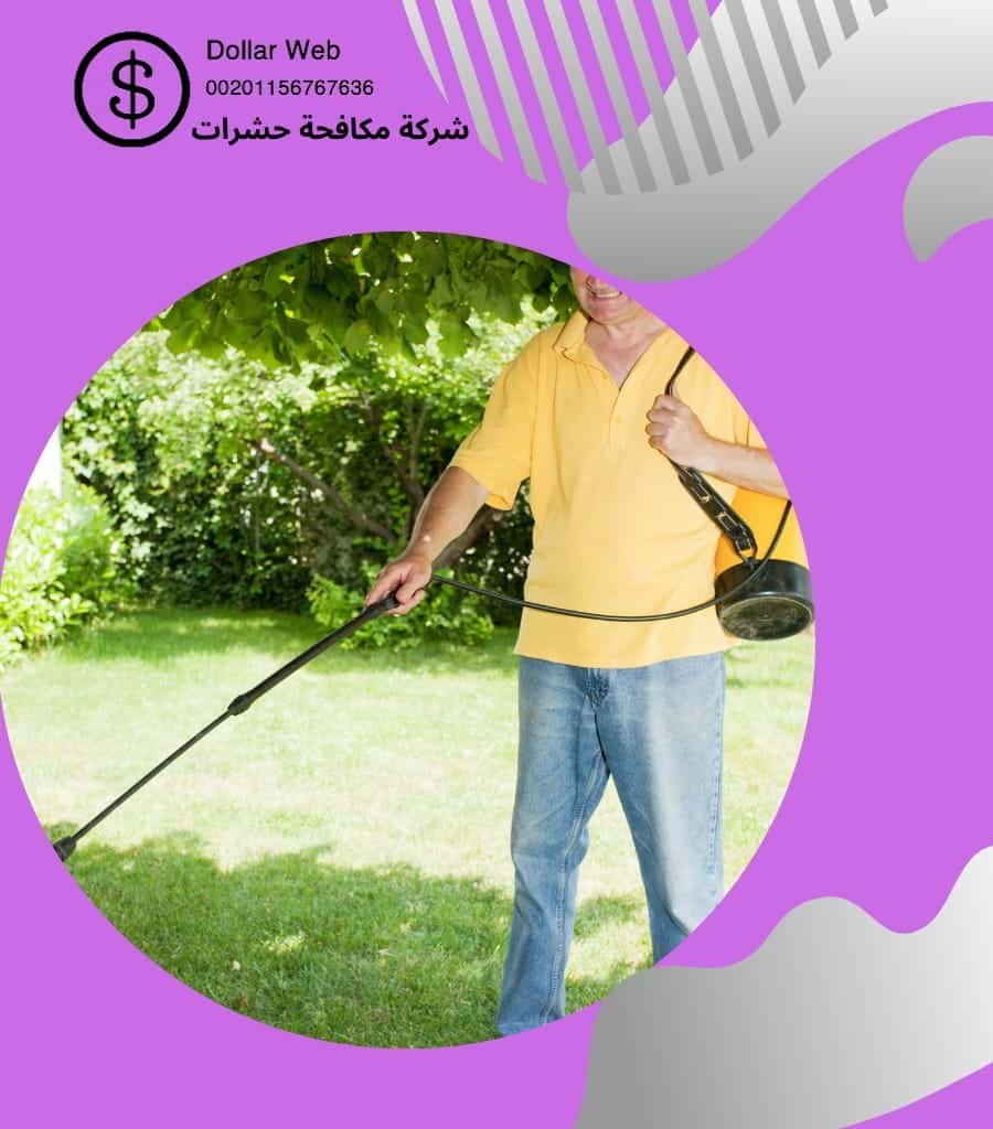 مكافحة حشرات العوالي بجدة