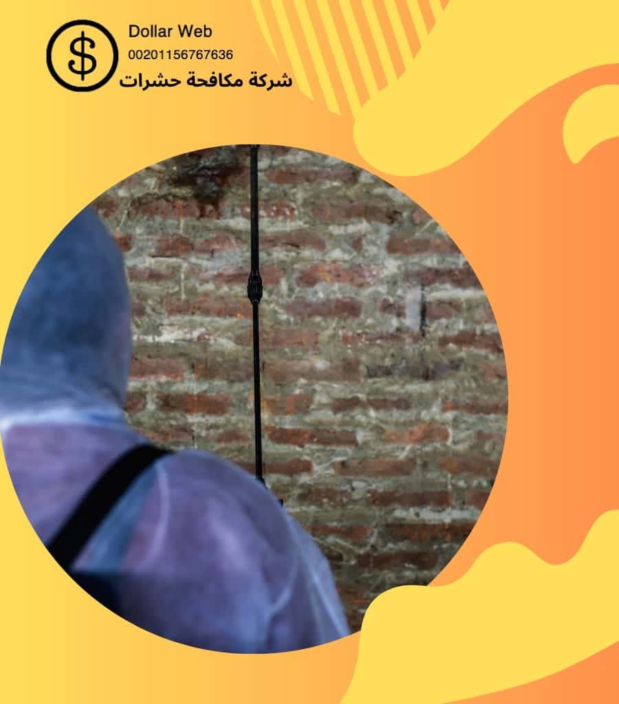 مكافحة حشرات حي المحمدية بجدة